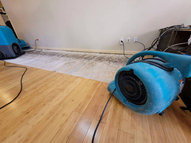 Professional Structural Drying technician working in Fremont, NE